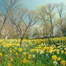 축제의 물결 이미지