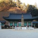 오대산 달빛 이미지