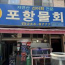 자갈치역 현지인 맛집 충무동 포항물회