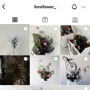 리오라플라워 이미지