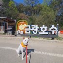 안성시 관광안내소 | 안성 가볼만한곳 금광호수 전망대 애견 동반 산책하고 왔어요