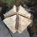 Traditional 이미지