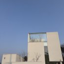 나비펫 | 나의 첫째 고양이 나비의 장례식, 펫포레스트 김포