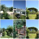 엄마네펜션 이미지