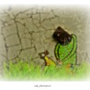 성안 벽화마을 벽화 이미지