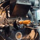 예쁜커피나무 이미지