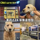 올리스24 두류공원점 네이버블로그
