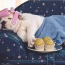 오뉴월개팔자 이미지