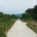 고바우교 이미지