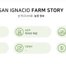 디코드커피 이미지