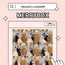 W.05 호텔 리츠 포토부스 4컷사진 메리박스 계약 후기
