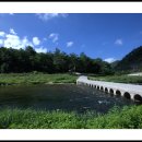 모정의 바다 이미지