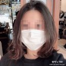 [솔직후기/미용실] 의왕 내손동 미용실 시오나헤어 내손점 (내손이편한세상 1단지 상가)