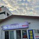 모슬포고등어 | 제주도 모슬포 고등어 회 맛집 미영이네 포장 후기!! (feat. 방어)