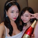 비노브라더스 이미지