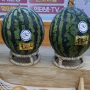 자인담 이미지