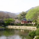 운림목재 - 장흥군 | 운림목재