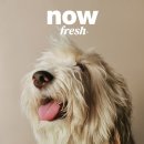 (주)이글벳 이미지