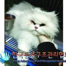 안흥로 이미지
