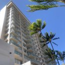 알로하호텔 이미지