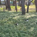 송림숲화장실 이미지