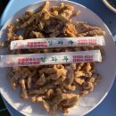 스테이독민박 이미지