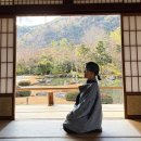 서쪽하늘 제1호 | 오사카 교토 아라시야마 텐류지 치쿠린 코스 추천