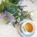 얌차 (yumchaa) 이미지