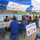 보성초등학교 이미지