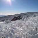 [지리산 32] 한신계곡-세석산장-장터목-천왕봉-백무동 이미지