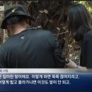 보배농장 이미지