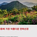 반더룽투어 이미지