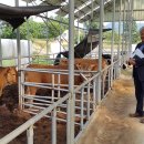 주영농장 이미지