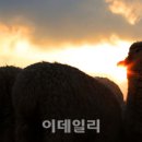 상서목장 이미지