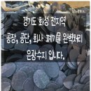 공단수지 이미지