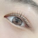 컨티뉴페이스