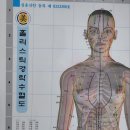 9.6질의응답 : 불임, 간경화, 혀갈라짐, 원형탈모 이미지