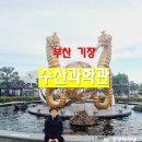부산기장 아이들과 가볼만한곳 - 국립수산과학원 수산과학관, 용궁사 산책코스로 함께 가기 좋아요