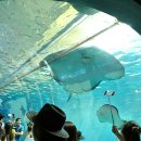 아쿠아플라넷 제주 이미지