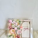 레브REVE 이미지