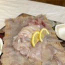 [창원 합성동 맛집] 마산 합성동 회복횟집 후기(모둠회, 매운탕)