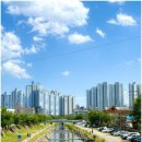 대전 산책하기 좋은 곳 대동천 소제동 카페거리