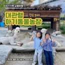 [강원도/강릉] 건초무한제공! 대관령 아기동물농장 : 동물들도 아이들도 행복한 곳