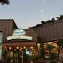 대천17-10 농로 | 대천 브루어리 수제 맥주 양조장 &amp; 펍 ㅣ 대천해수욕장맛집 추천