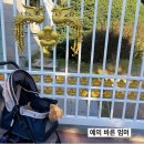서울 핫플 청와대 관람 후기