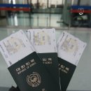 여권케이스 추천! 애국심 돋는 대한민국 무궁화여권케이스 후기