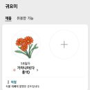 곰님들 가자니아 구경하세요🌺 이미지