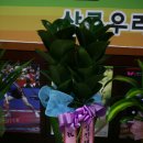 상록우리들탁구장