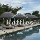 우림카써비스 | [싱가포르 신상호텔] 래플스 센토사(Raffles Sentosa) 🕊 럭셔리 리조트 완벽 리뷰