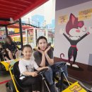전주 에코시티 키즈카페 너티차일드월드 전주점 아이와 실내놀이터 방문후기